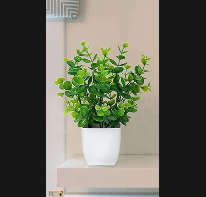 White Plastic Plant For Indoor Plants Decor