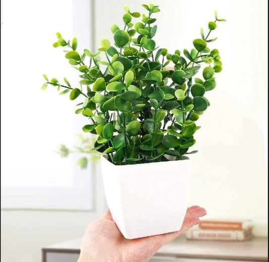 White Plastic Plant For Indoor Plants Decor