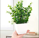 White Plastic Plant For Indoor Plants Decor