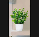 White Plastic Plant For Indoor Plants Decor